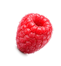 Berry